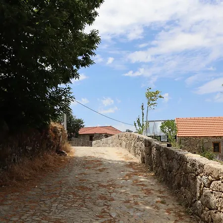 Fugahouse - Art, Nature & Pretarouca
