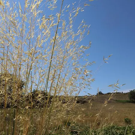 Fugahouse - Art, Nature & * Pretarouca